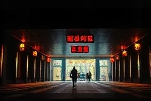 《候鸟时刻》纪录片画面，湿地浅滩上成群停歇的候鸟